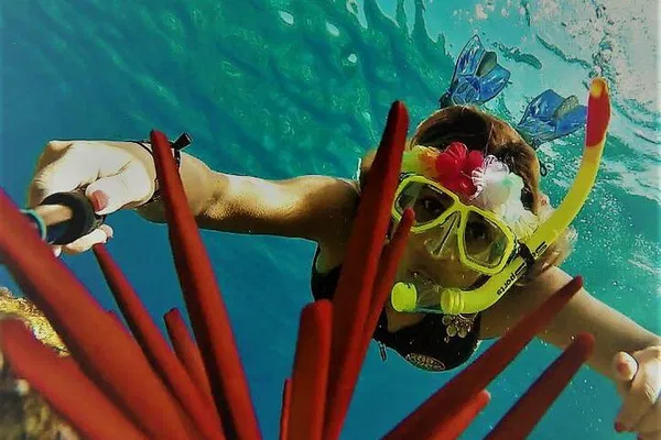 Maui: Molokini Snorkel & Turtle Cove Adventure!