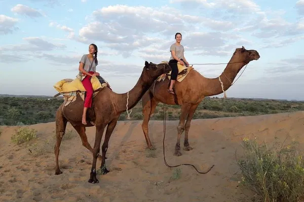 Jodhpur's Thar Desert: Camel Safari Adventure with Locals