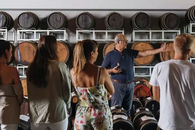 Modena Balsamic Vinegar Tour: Taste & Vineyard Visit