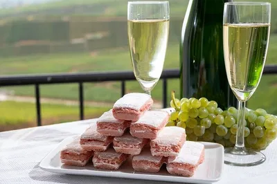 Luxury Private Transfer: Paris to Reims & Champagne Region
