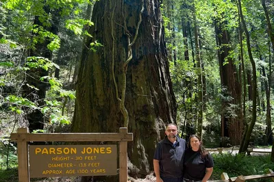 Unforgettable Napa: Wine, Redwoods, and Luxury Car Tours