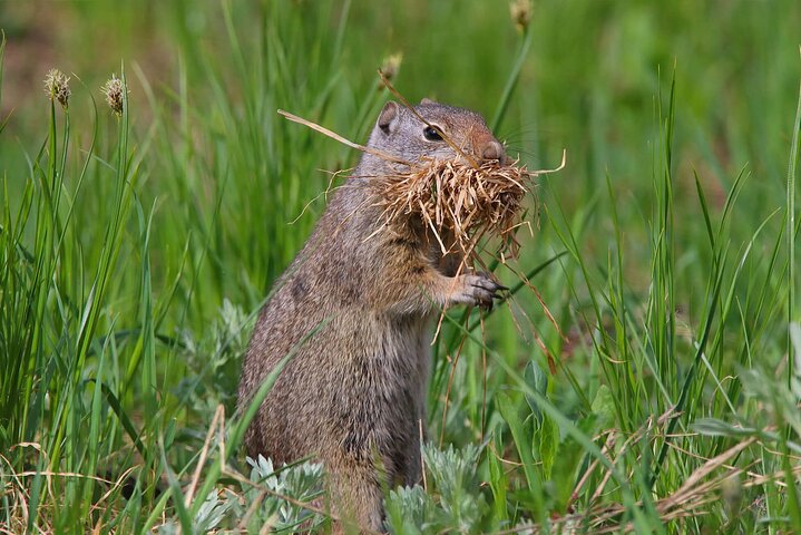 Experience Image img4