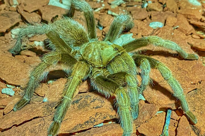 Experience Image img2