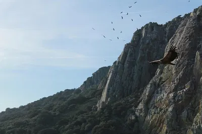 Monfragüe National Park 4x4 Adventure: Discover Spain's Wildlife Paradise