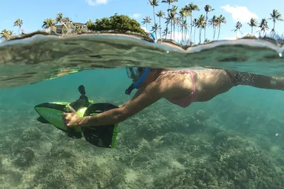 Kapalua Bay Eco-Adventure: Sea Scooter Snorkeling & Coral Reef Conservation