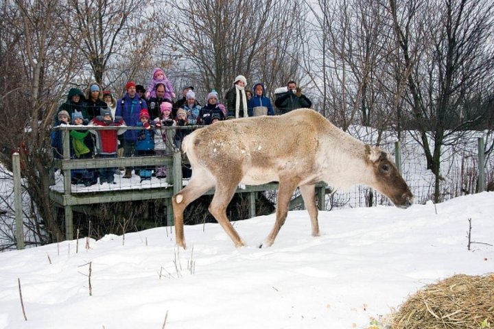 Experience Image img1