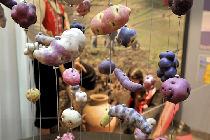 Experience Image img3