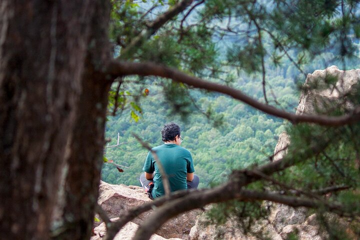 Experience Image img1