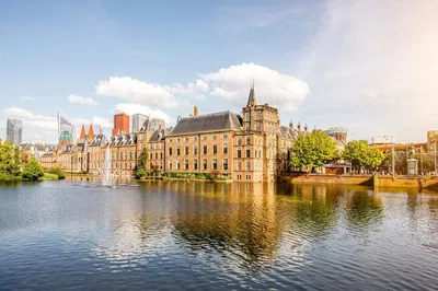 Discover The Hague: A Whirlwind 60-Minute Local Adventure