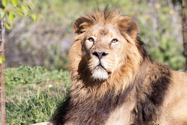 Experience Image img3