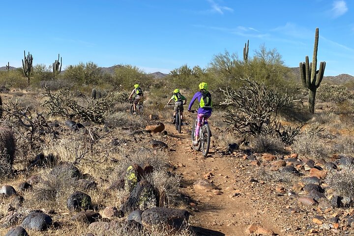 Sonoran Desert Mountain Biking: A Thrilling Private Tour