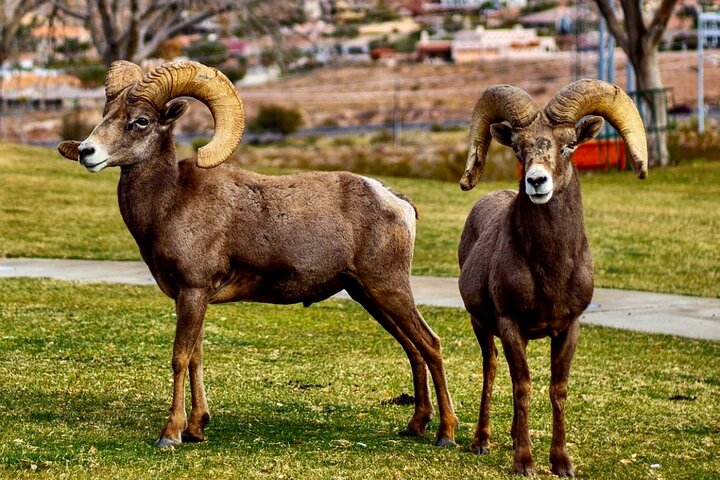 Experience Image img4