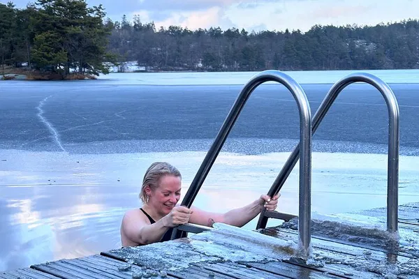 Sauna & Christmas Buffé: Stockholm's Hot & Cold Treat