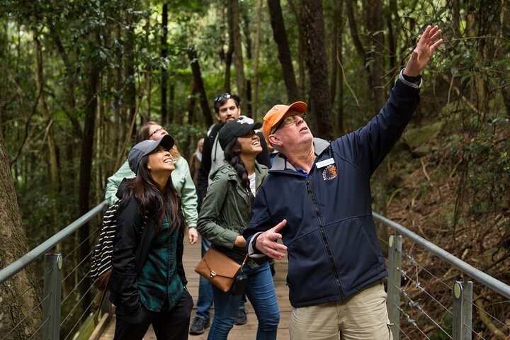 Blue Mountains All-Inclusive Day Trip: Lunch & River Cruise