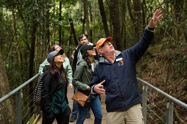 Blue Mountains All-Inclusive Day Trip: Lunch & River Cruise