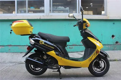 Miami Beach on Two Wheels: Explore with 24-Hour Scooter Freedom!