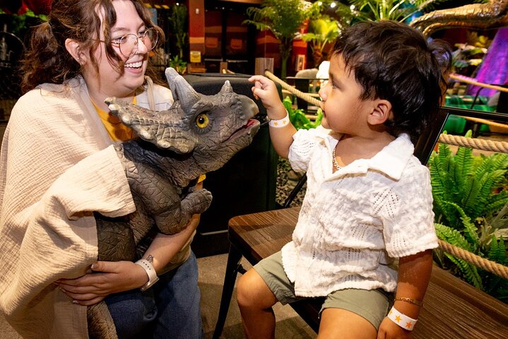 Experience Image img2