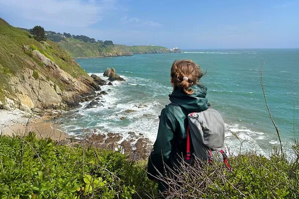 Howth Hiking Tour: Dublin's Secret Cliffs & Beaches
