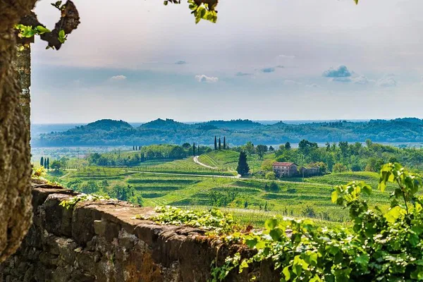 Cividale & Collio Wine Tour: Taste Friuli's Best!