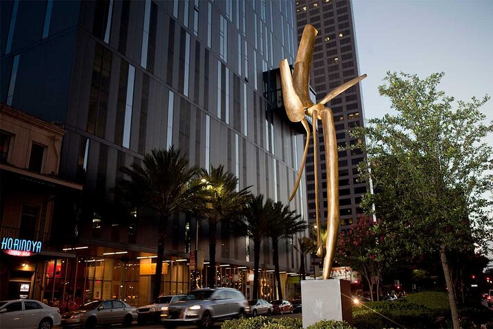 Experience Image img1