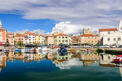 Izola & Wine Hills Private Tour from Koper