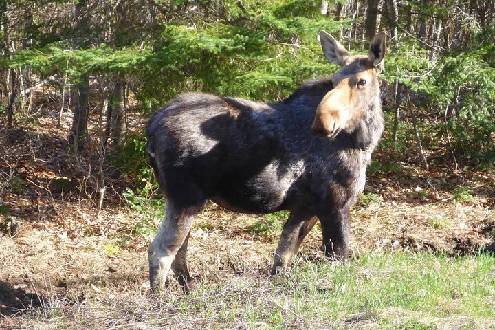 Experience Image img2