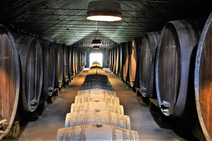 Lisbon: Private Setúbal Wine Tour & Tasting