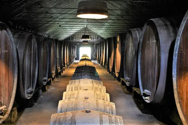 Lisbon: Private Setúbal Wine Tour & Tasting