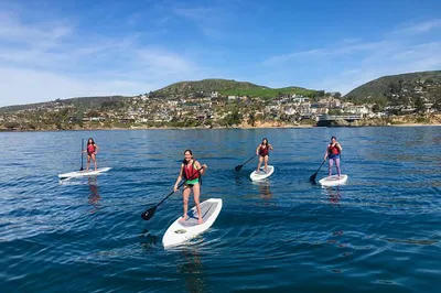 Laguna Beach Paddleboard Adventure: Explore Hidden Coves & Seal Sanctuary!
