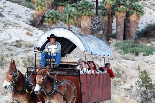 Unforgettable Desert Adventure: Covered Wagon BBQ Experience!