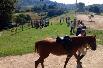 Tuscany Escape: Wine Tasting & Horseback Riding Adventure from Rome