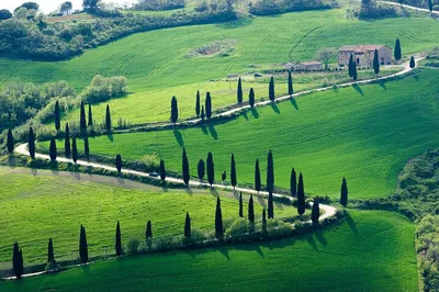 Rome to Florence Private Transfer: Siena Stop