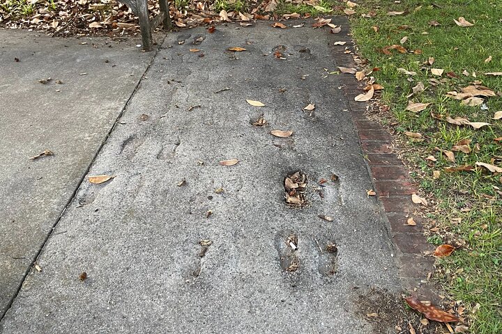 Experience Image img1