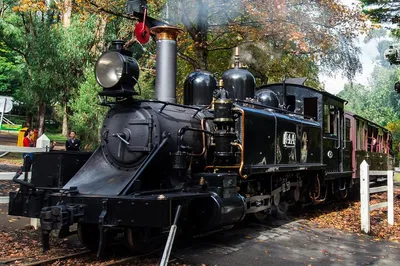 Puffing Billy & Penguin Parade: Best Melbourne Day Trip
