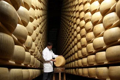 Emilia Romagna Food Tour: Private Gourmet Day Trip