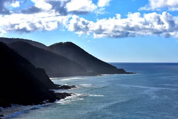 Great Ocean Road Boutique Tour: Wildlife & Rainforest!