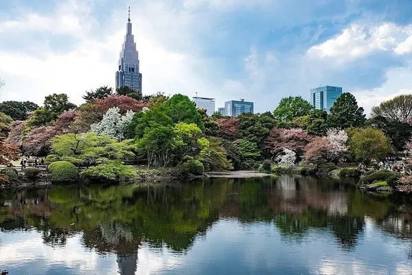 Discover Tranquil Tokyo: A Personalized Japanese Garden Journey