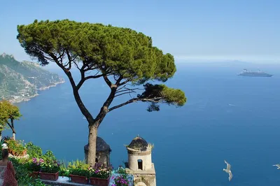 Ravello's Coastal Charm: A Half-Day Private Tour