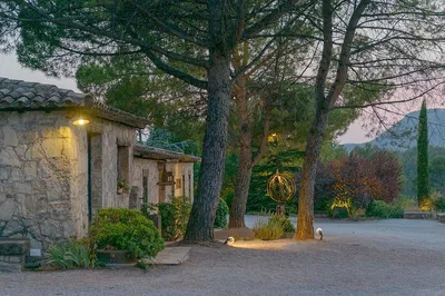 Barcelona Wine & Oil Escape: A Taste of Catalan Culture