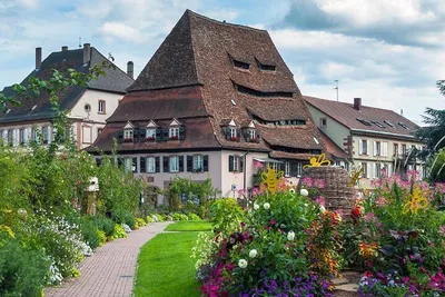 Discovering Wissembourg: An Enchanting Alsatian Escape from Heidelberg