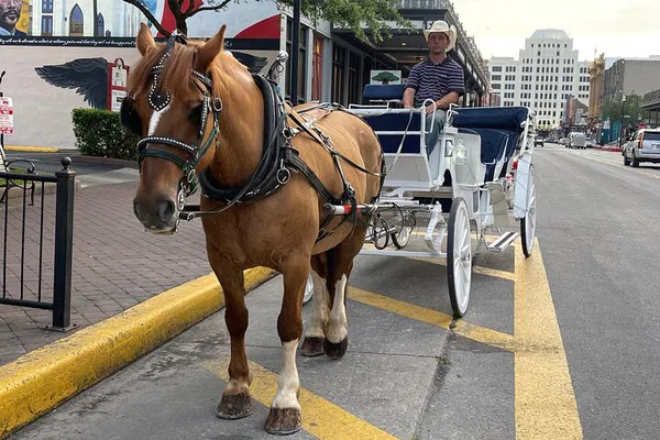 Galveston's Enchanting Carriage Ride: History Awaits!