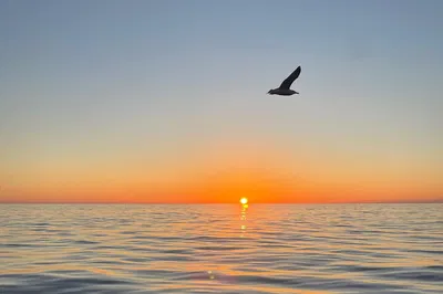 Cinque Terre Sunset Boat Tour: Wine, Snorkeling & Views
