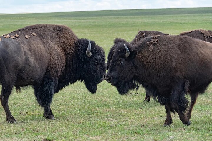 Experience Image img4