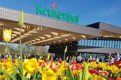 Keukenhof Gardens Private Tour: Millions of Flowers!