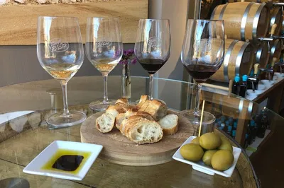 Alcatraz & Sausalito Wine Tour: Perfect Bay Day!