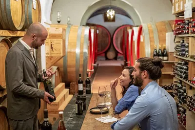 Unveiling Montepulciano: A Sensory Wine Journey Through Svetoni Cellars