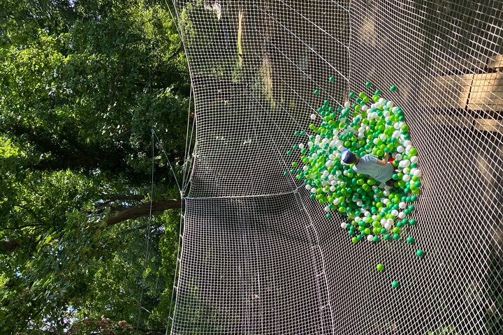 Experience Image img2