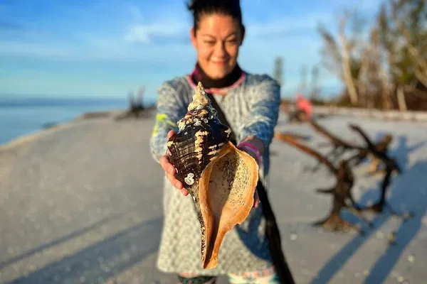 10K Islands Shelling: Private Beach Tour