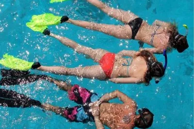 Dive into Paradise: Private Snorkeling Adventure in Miami's Biscayne Bay