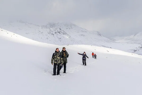 Tromsø Hiking & Snowshoeing Tour: Arctic Landscapes